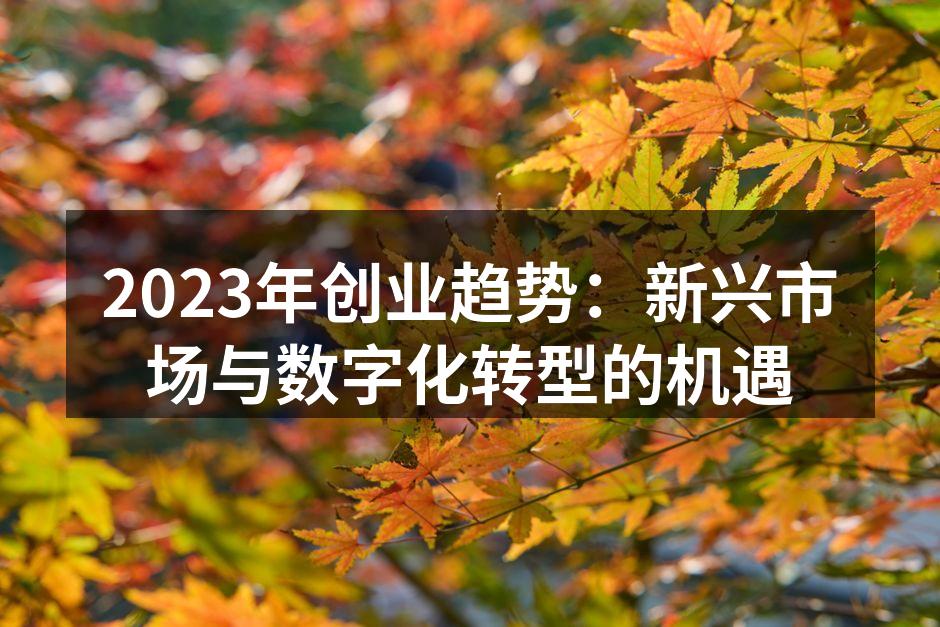 2023年创业趋势：新兴市场与数字化转型的机遇