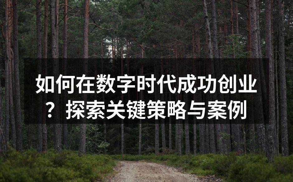 如何在数字时代成功创业？探索关键策略与案例